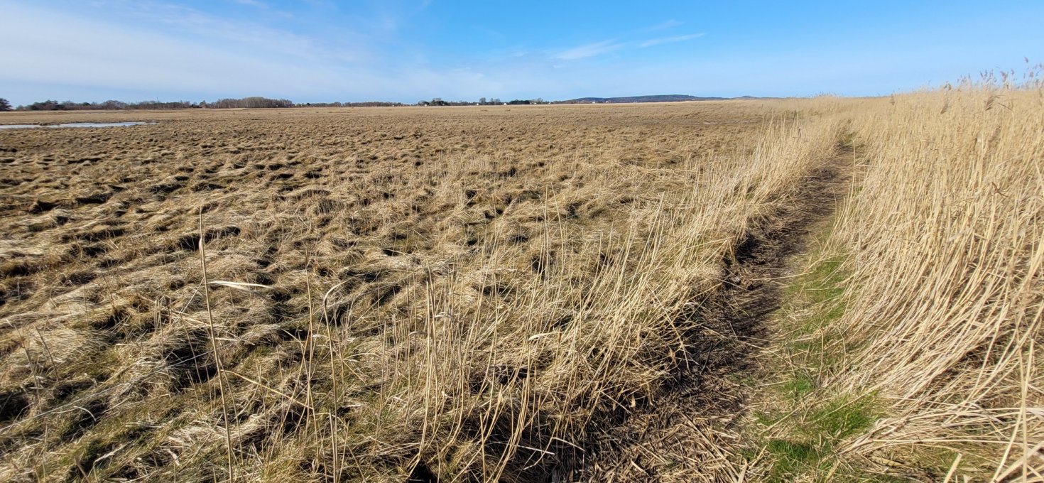 Hiddensee – Alles an einem Tag