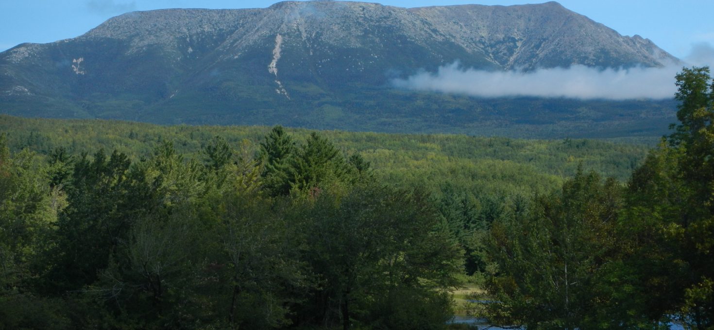 Meile 1887,6 bis 2185,9