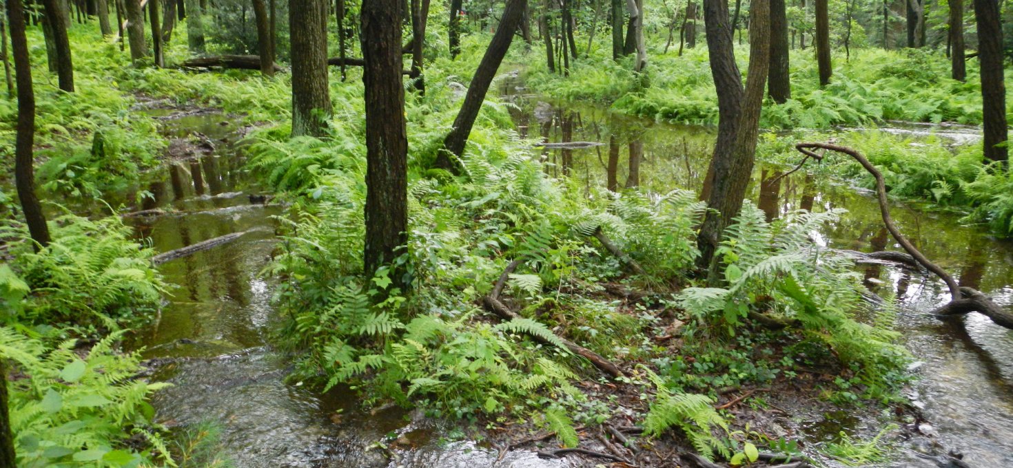 Meile 1097,3 bis 1213,4