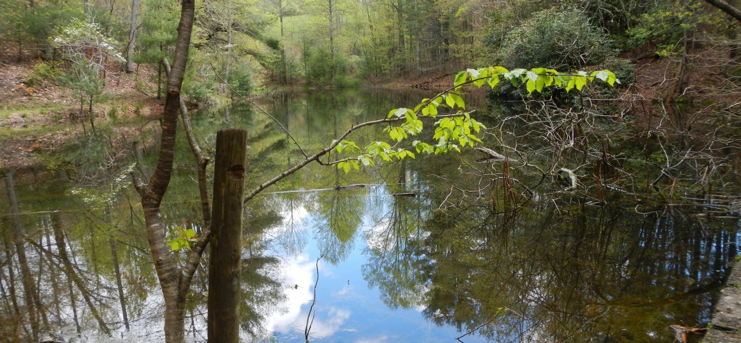 Meile 273,5 bis 341,5