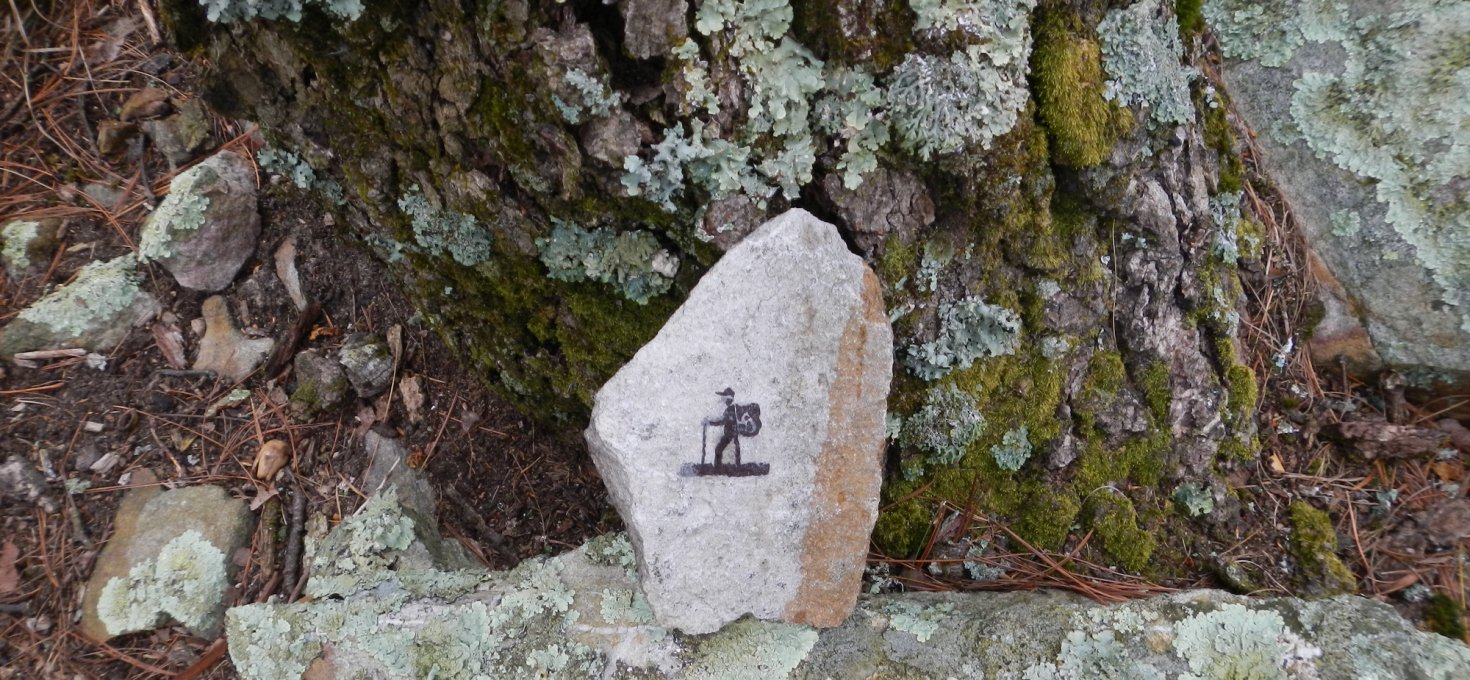 2024 – what`s next?