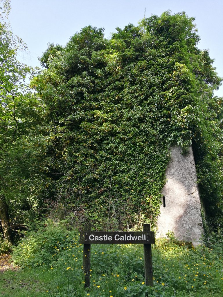 Zugewachsene Ruine von Castle Caldwell