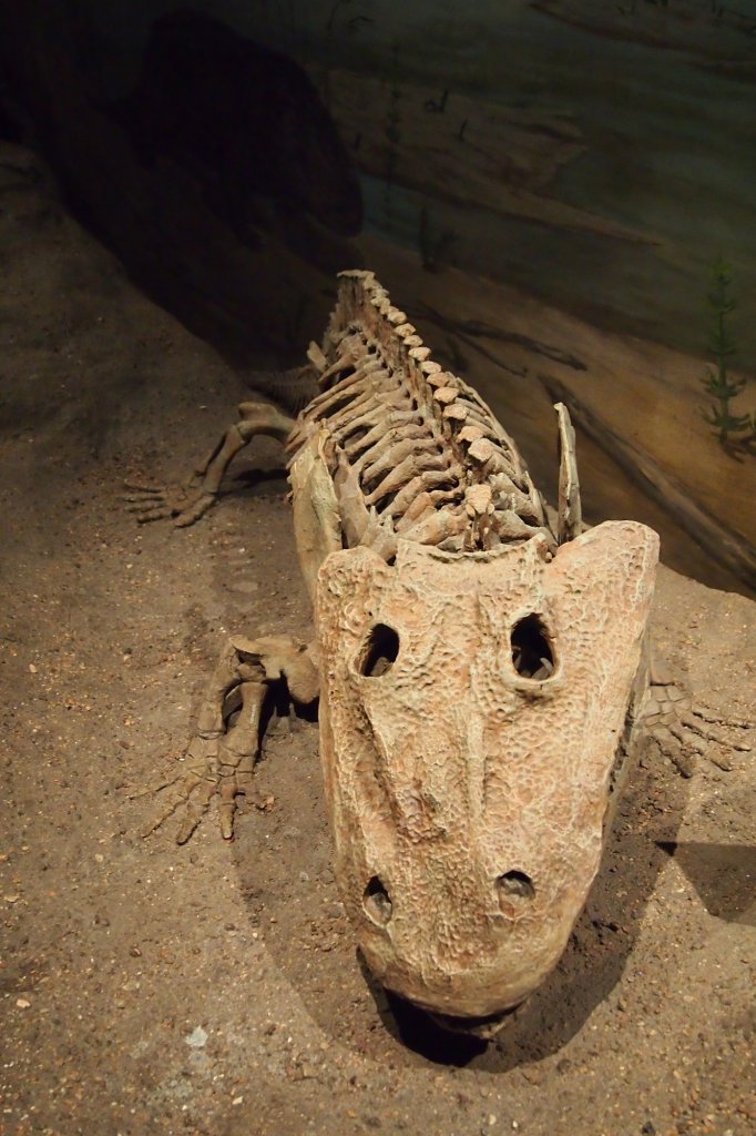 Süßes Schnappi Skelett