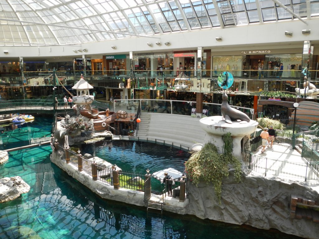 Robben im Einkaufszentrum