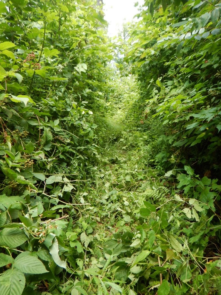 Weg nach der Durschlageübung