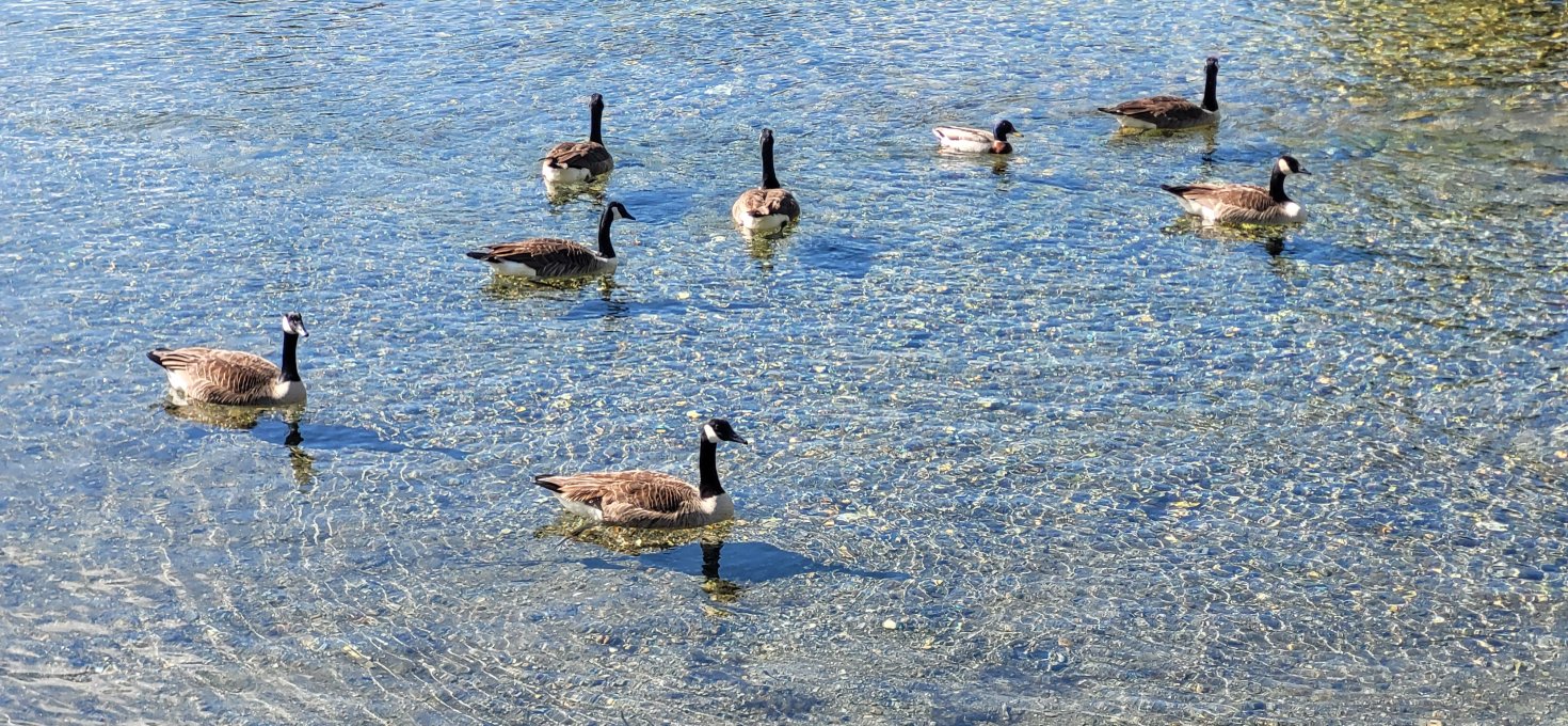 Meile 1105,4 – 1149,8