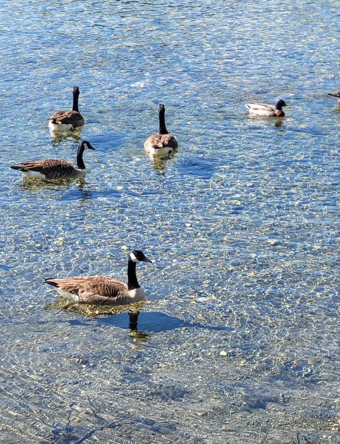 Meile 1105,4 – 1149,8