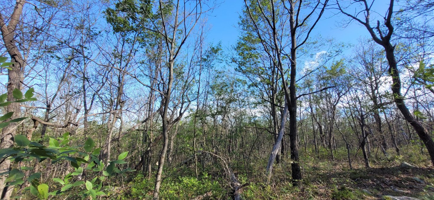 Es regnet seit Tagen…