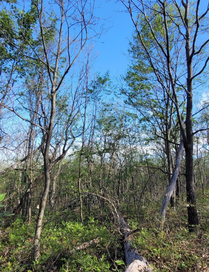 Es regnet seit Tagen…